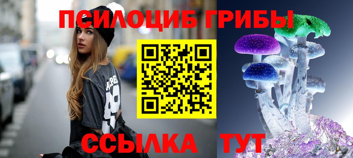 Галлюциногенные грибы Psilocybine cubensis Севастополь