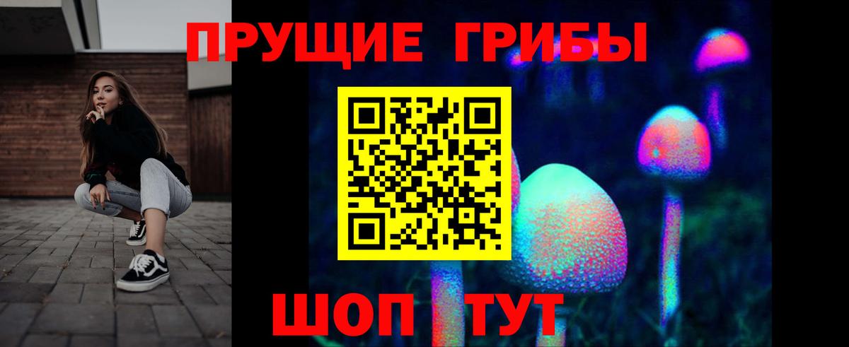 Галлюциногенные грибы Psilocybe  Галлюциногенные грибы GOLDEN TEACHER  где купить наркоту  Вход с VPN  Севастополь 